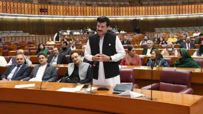 پارلیمنٹ، مشترکہ اجلاس، تحریک انصاف