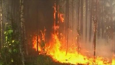 Russian forest fire