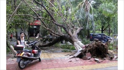 Typhoon damage