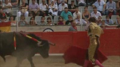 Bullfighter in ring with bull