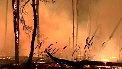 Forest fire in Russia