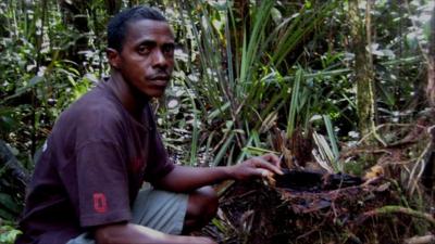 Guide Armand Marozafy on illegally logged trees in Madagascar.
