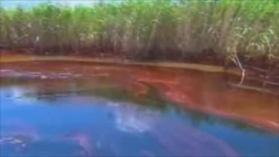 Oil pollution