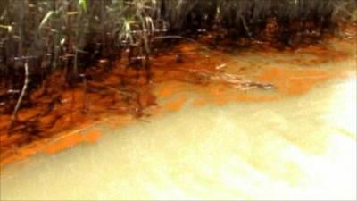 Oil pollution from the spill