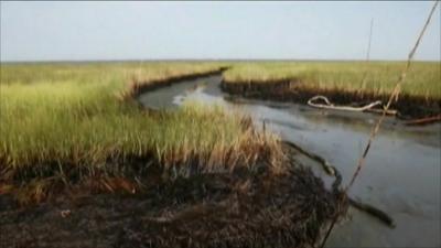 Tar balls washed up on the Gulf coast