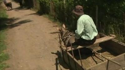 A farmer's cart