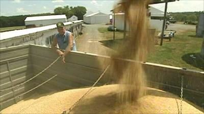 Wheat farmer in the US