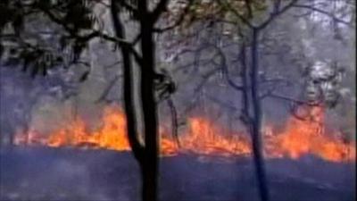 Forrest fires, Brazil