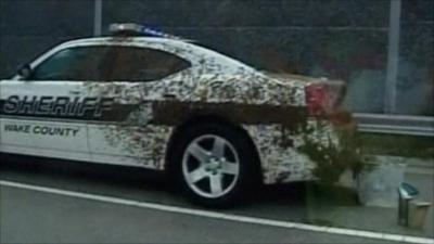 bees cover patrol car