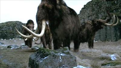 Woolly mammoths