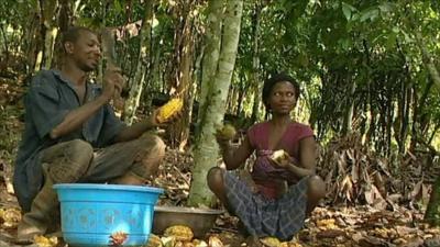 Cocoa farmers