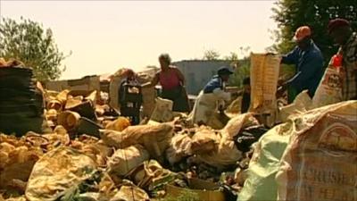 People sorting rubbish