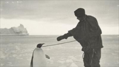 An explorer with a penguin during the 1910 Antarctic expedition