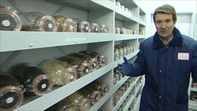 David Shukman in a seed bank freezer