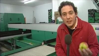 Simon Jack at an apple farm