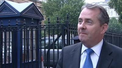 Defence Secretary Liam Fox