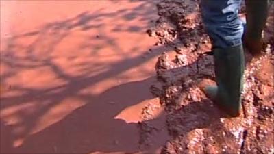 Mud from sludge spill