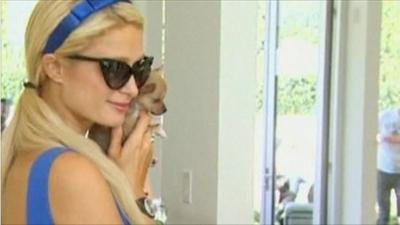 Paris Hilton and pup