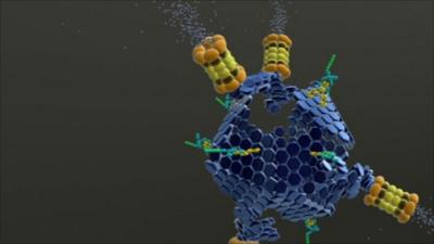 Medical Research Council virus animation