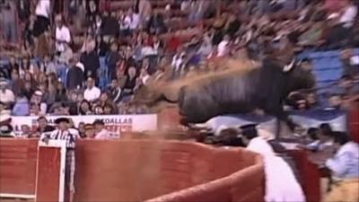 Bull leaps into crowd at Mexican bullring