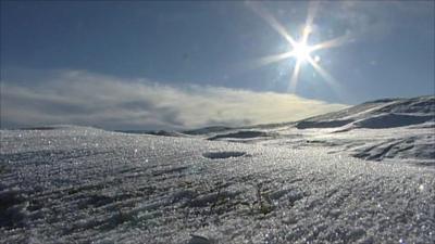 Snow covered field