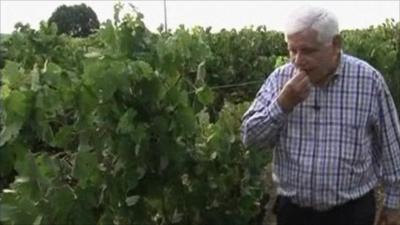 Jean Pierre Amoreau, wine maker and manga comic star