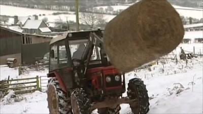 Farm in Wales