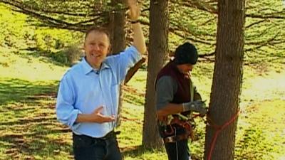 Angus Crawford and pine cone picker Berdia Kublashvili