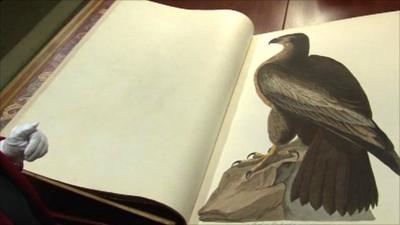 John James Audubon's Birds of America