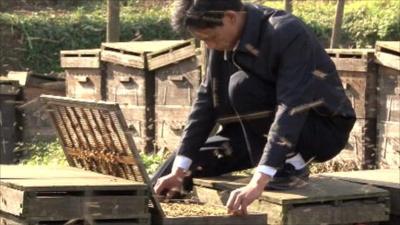 Long Xunming is a bee keeper who supplies expert information to the Nongxinton network
