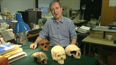 Professor Chris Stringer with the skulls of a human and three of our ancestors