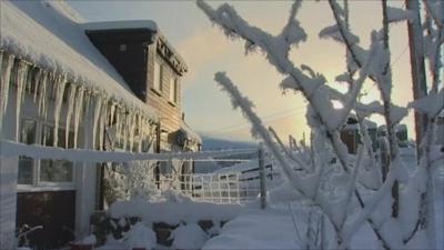 Snow covered houses