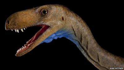Reconstruction of the head of the Eodromaeus dinosaur