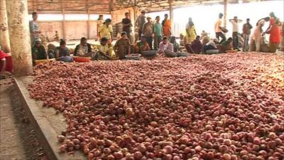 Onion market in India