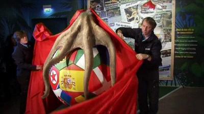 Memorial unveiling to Paul the oracle octopus