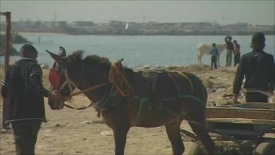 Gaza beach