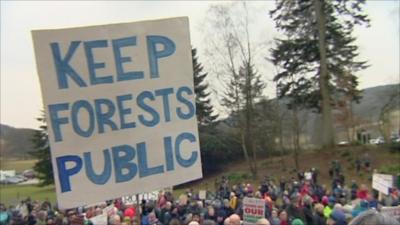 Forest protest, UK