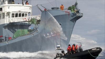 The crew of the Japanese whaling ship aims its water cannon at an anti-whaling activists inflatable boat