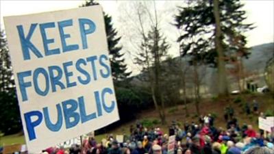 Forest campaigners
