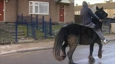 Horse on housing estate