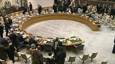 UN Security Council