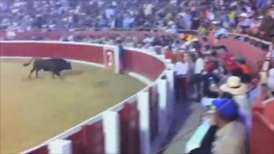 Screen grab from amateur footage of a bullfight