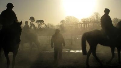 Trainer Tom Hogan with his horses