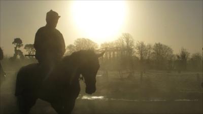 Racehorse in Ireland