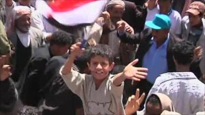 Child waving flag in protests