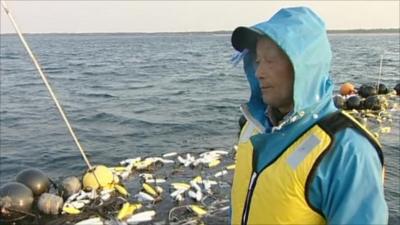 Seaweed farmer Kazuhiro Ogawa