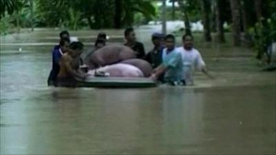 People wading in water