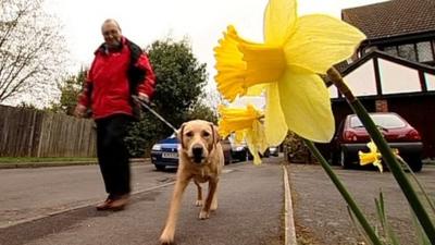 Govt ends Default Retirement Age