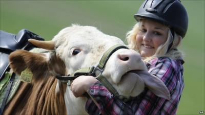 Regina Meyer and her trusty steed, Luna the cow