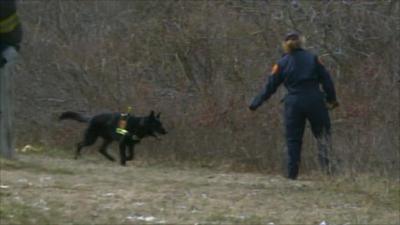 Police search Long Island brush